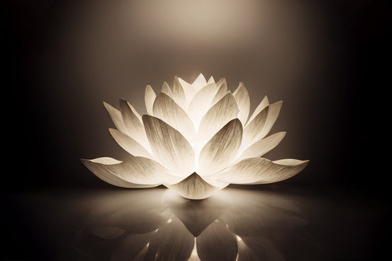 Abstract Lotus Flower wall mural close-up of a glowing white lotus blossom on a dark brown background
