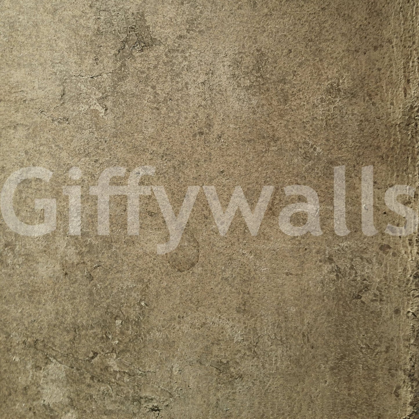 Aged Leather - Hide Wall Mural