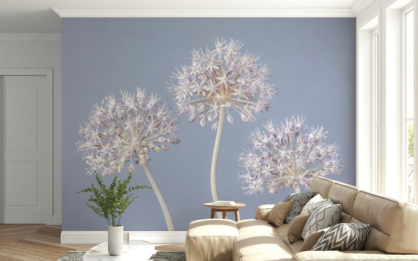 Three allium blooms wall mural in focus