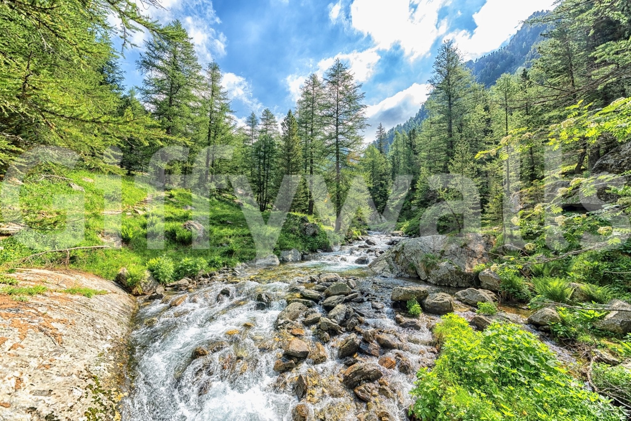 Alpine Stream Wall Mural – Scenic Mountain Forest Creek View