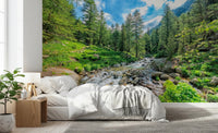 Alpine Stream Wall Mural