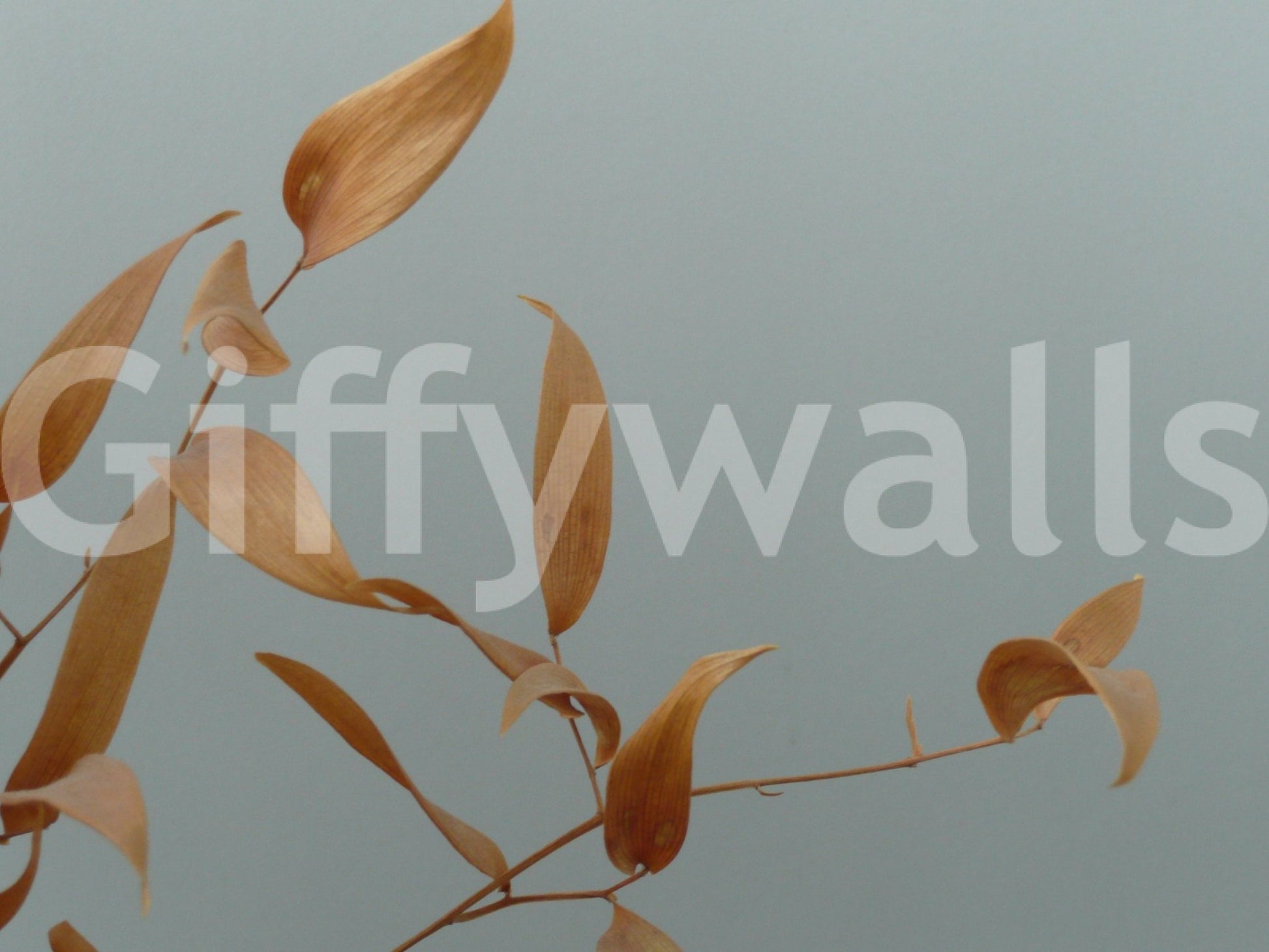 Amber Whispers Wall Mural