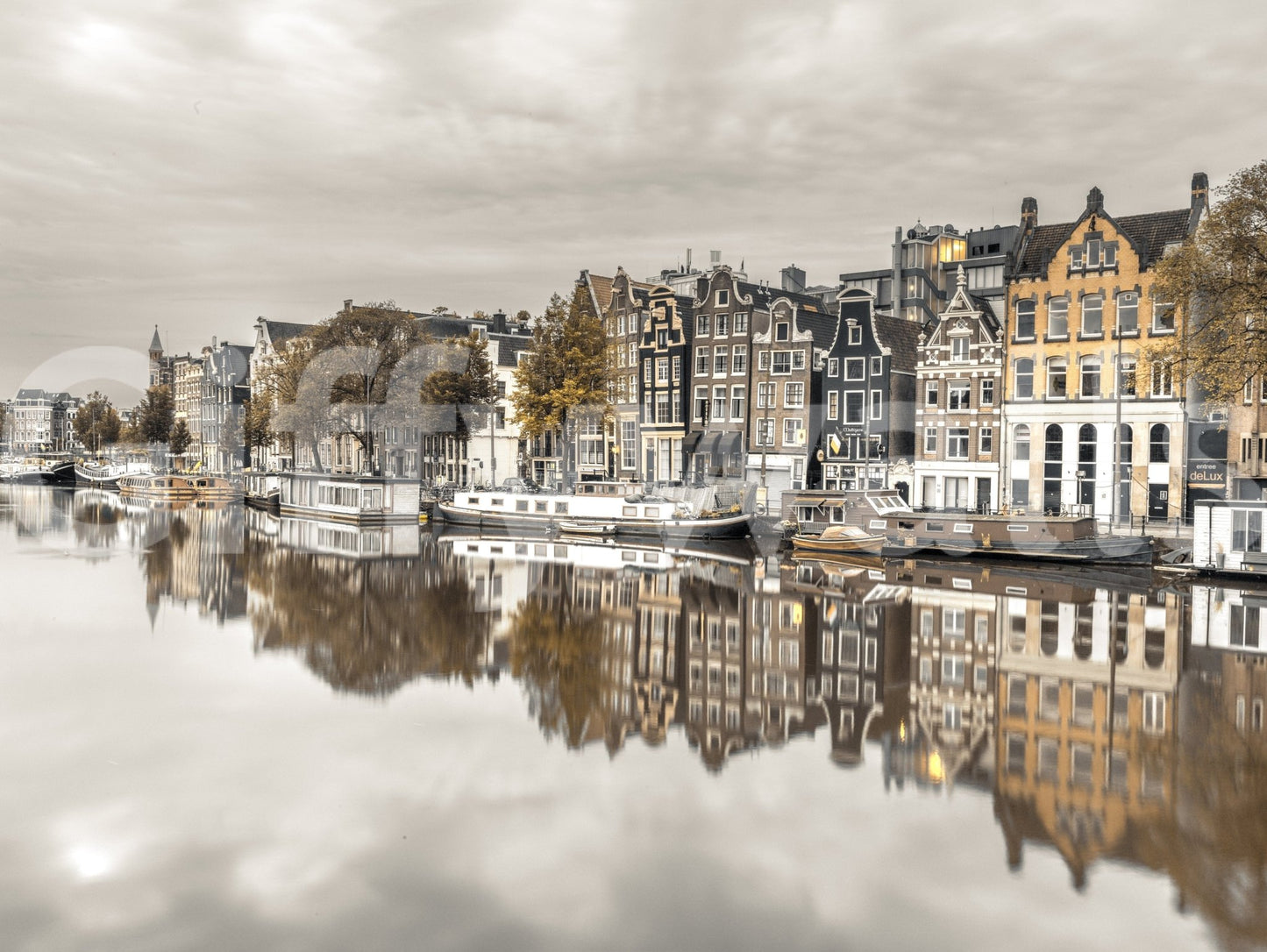 Amsterdam's Mirror Wall Mural behind couch, canal reflections and classic facades