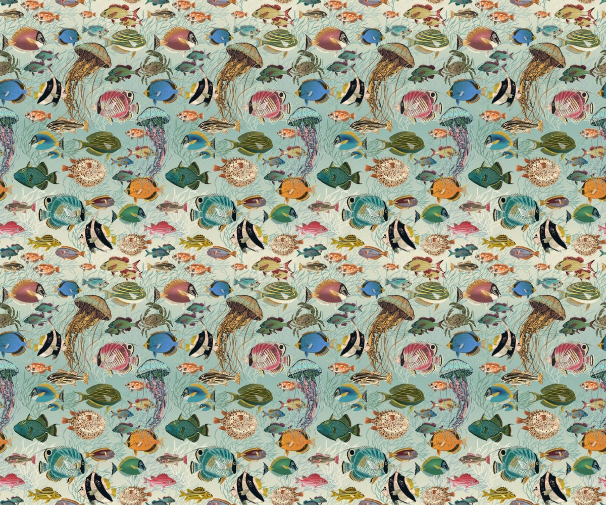 Imagini de fundal subacvatice in your room — zoomed
