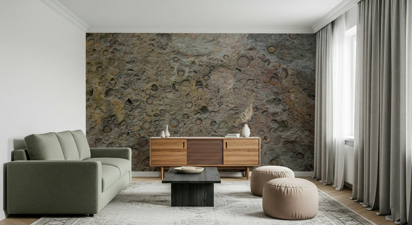 Ancient Fossil Texture Wall Mural -2566608