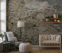 Ancient Fossil Texture Wall Mural -2566608