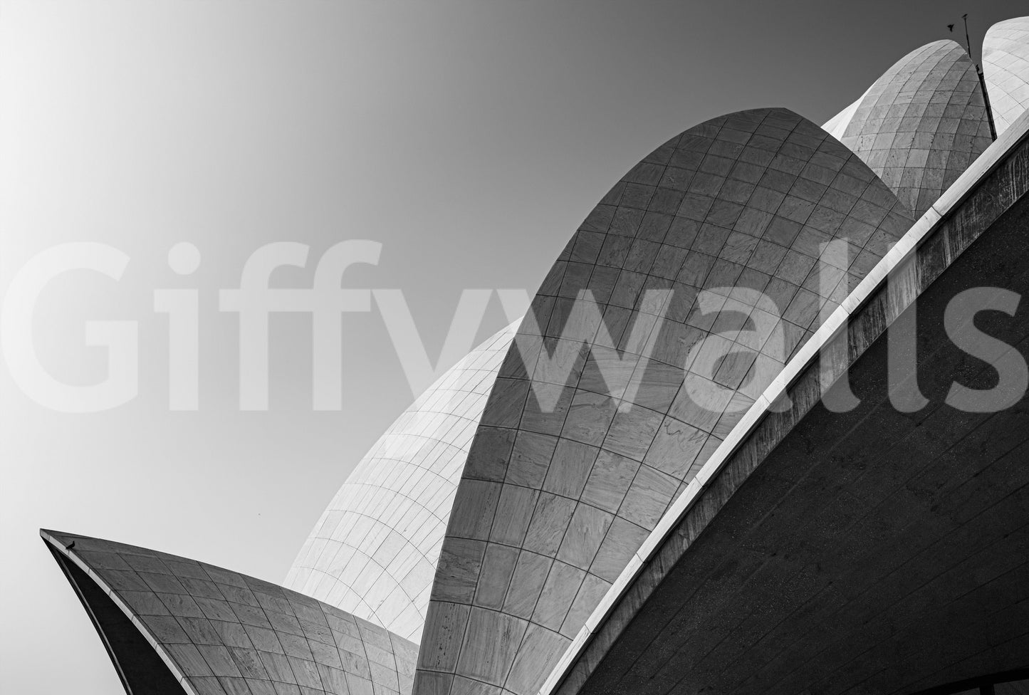 Architectural Petals Wall Mural -2326857