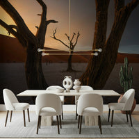 Contrasting light Arid Woodland Ghost photograph, desolate arid wilderness.