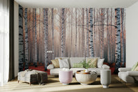 The image has a calm, tranquil mood.

