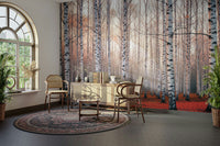 The composition is a wide, landscape view of the forest.

