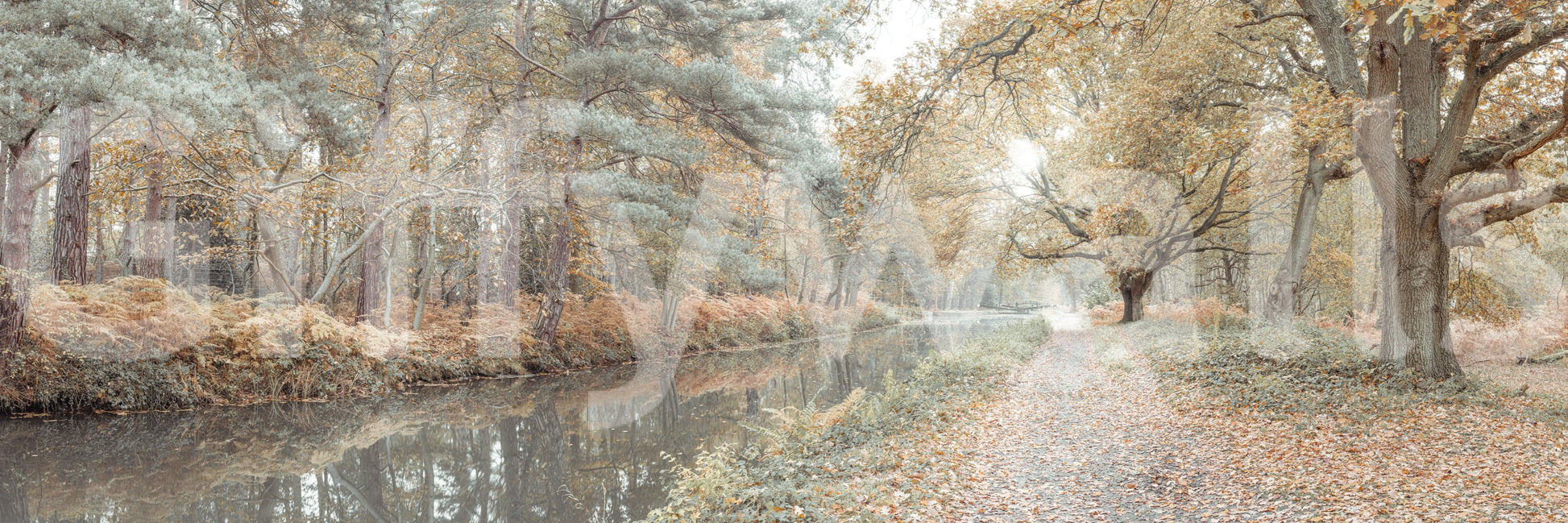 Scenic autumn landscape mural with a calm waterway bordered by tall trees.