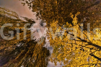 Calm seasonal mural for walls
