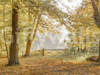 Autumn pathway mural behind desk in office, modern wall decor, warm color scheme