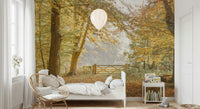 Autumn trees and sunlit trail wallpaper for bedroom, modern style, warm color accents