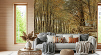 Scenic autumnal grove, golden yellow canopy, Autumn Forest Scene design.