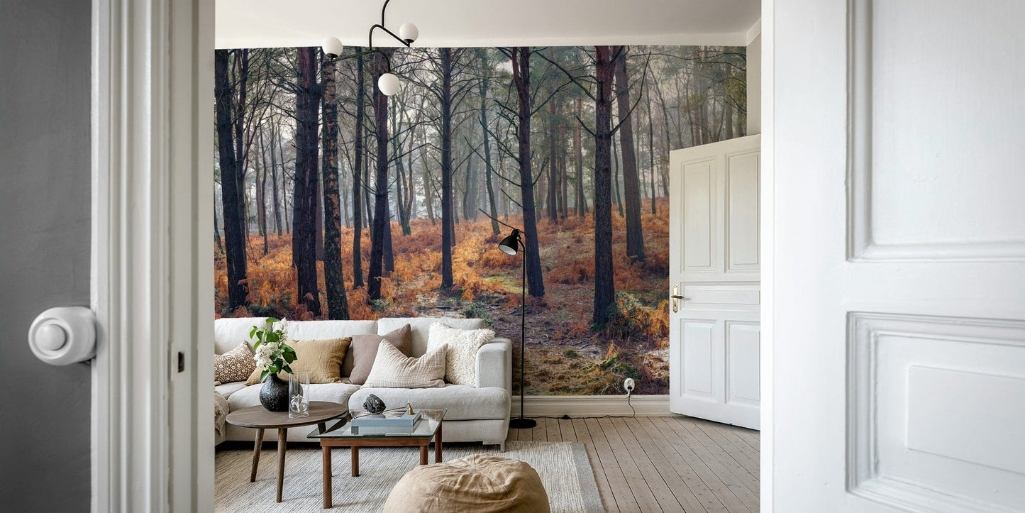 A peaceful open woods mural on decorative wallpaper.

