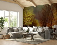 Horizontal format for a panoramic feel.

