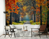 Tree wallpaper look wall mural with an autumn path, orange wallpaper leaves and green wallpaper shrubs