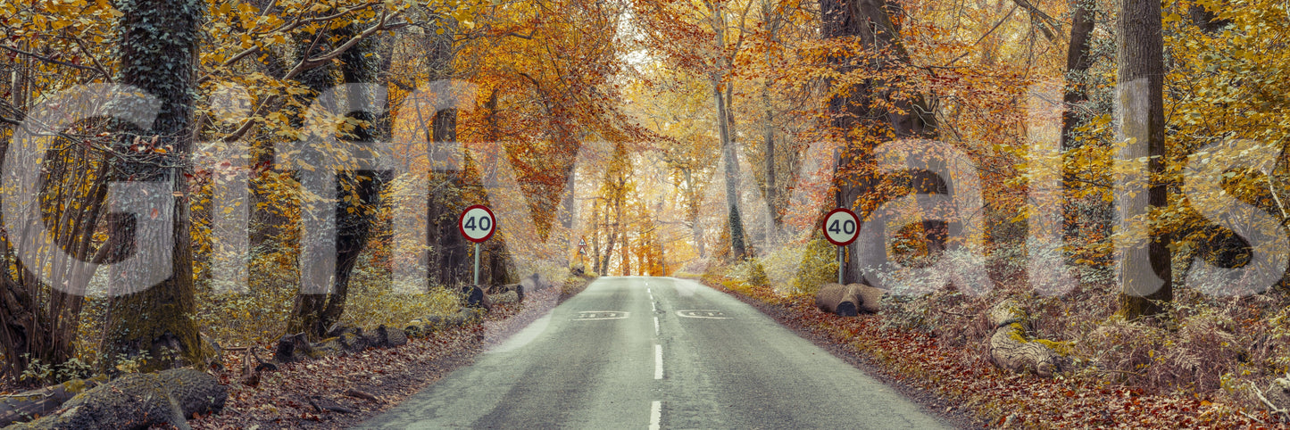 The wallpaper features a subtle, calming pattern.

