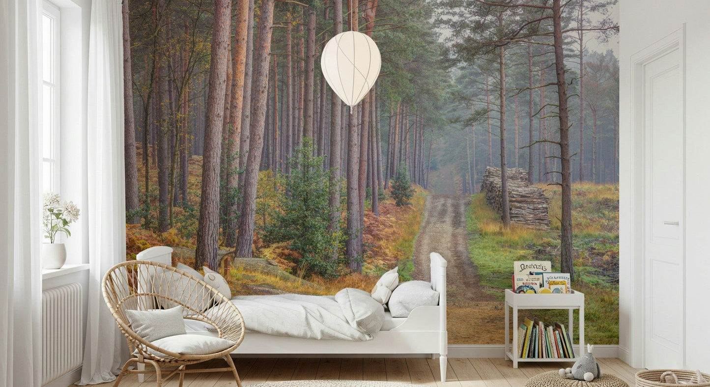 Serene Road Through Autumn Splendor Wall Mural