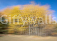 The Autumn Trees in Motion mural makes a unique artistic statement.

