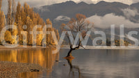 Solitary tree in water, crisp autumnal light, stylish Autumn Woodland Dawn Mirror.