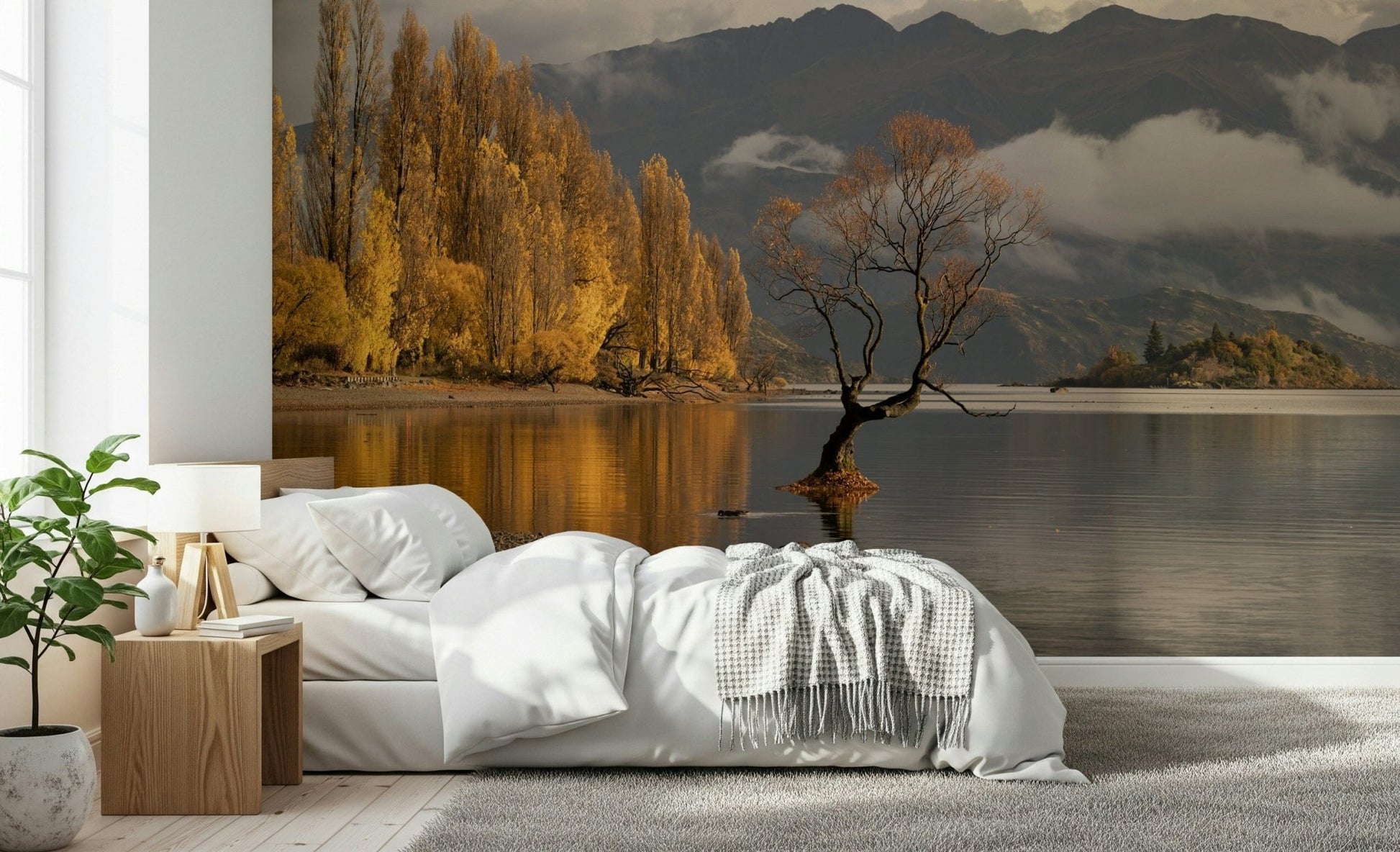 Misty morning landscape, tall poplars, vibrant Autumn Woodland Dawn Mirror wall accent.