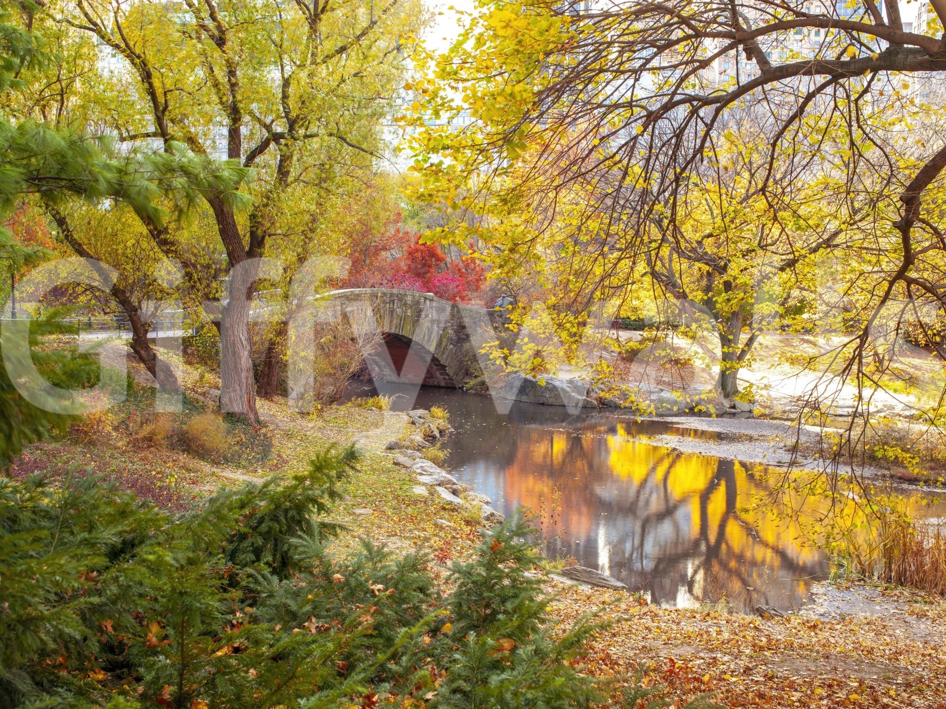 Warm autumn colors in a detailed landscape mural design

