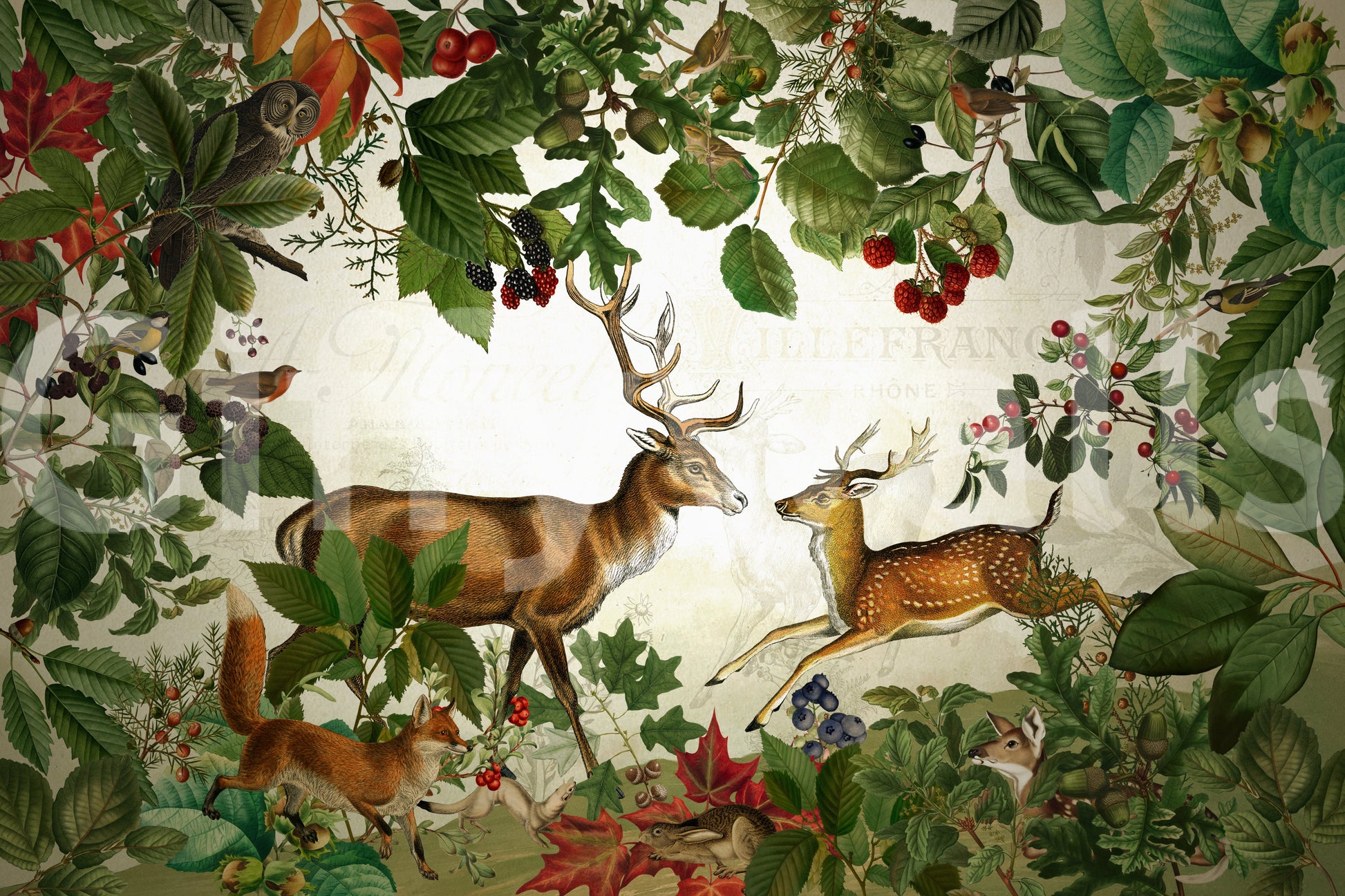 Botanical wallpaper with seasonal colors

