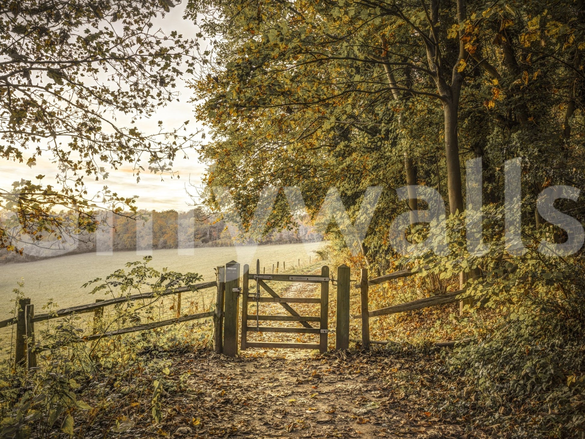 Wall decor evoking the beauty of fall.

