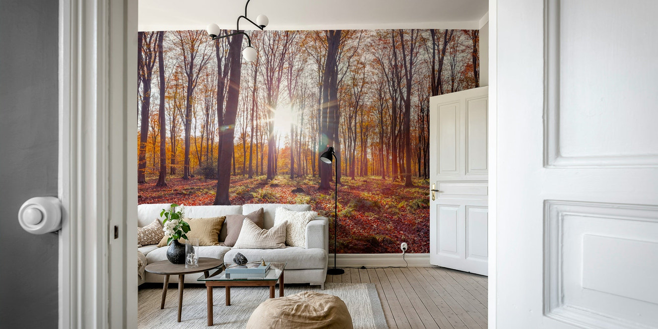 Warm autumn hues with golden and red leaves on wall mural

