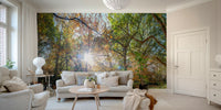 Sunlit woodland wallpaper mural

