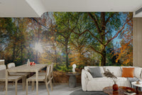 Seasonal woodland wallpaper mural

