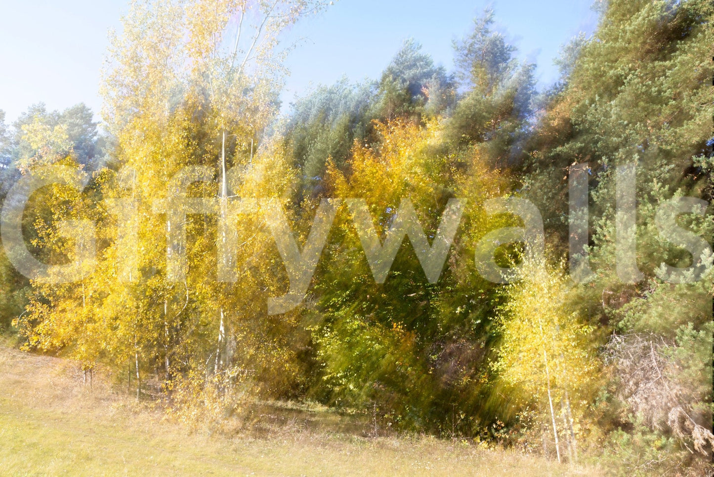 Blurred nature photography mural on stair wall, warm color, modern decor