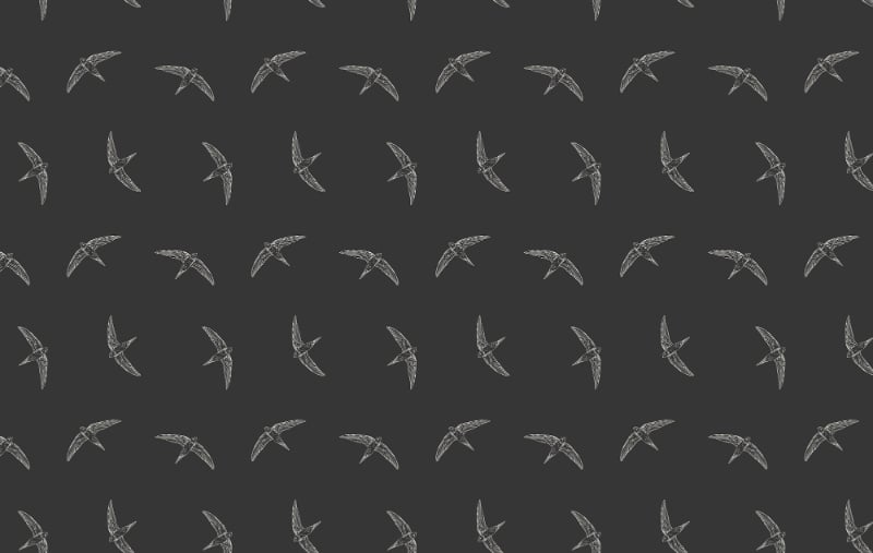 Schwarze Farbe Fliege Schwalbenvogel Tapete in your room