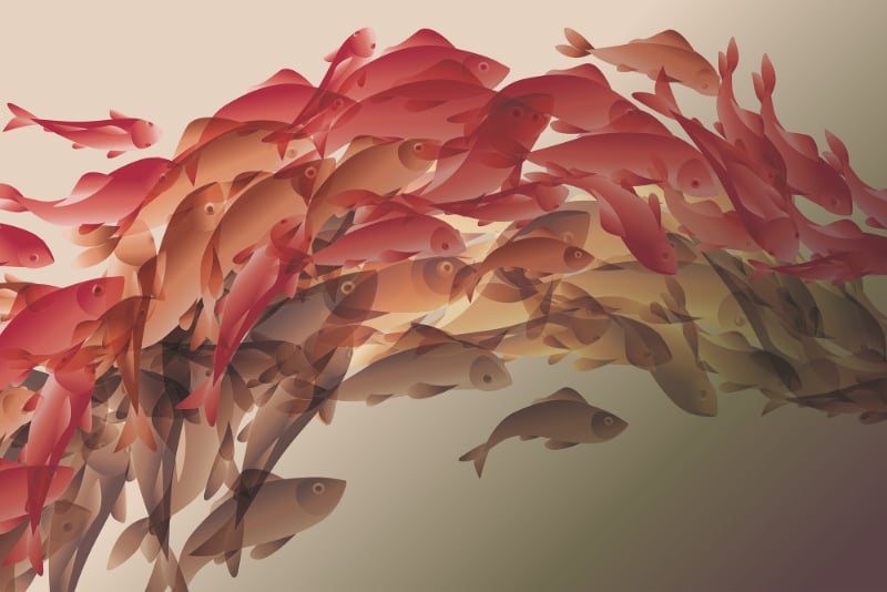 Abstrakte Koi Fish Wallpaper Wandbild in your room — zoomed