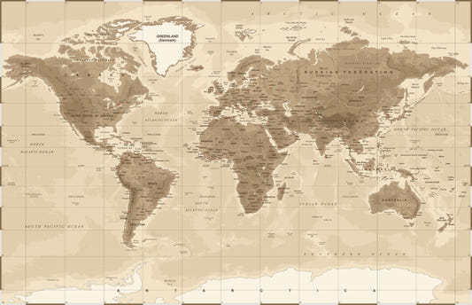 Murales murales de carte du monde détaillées brunes