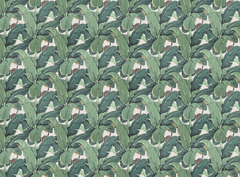Feuilles de banane et papier peint de feuille de jardin tropical in your room — zoomed