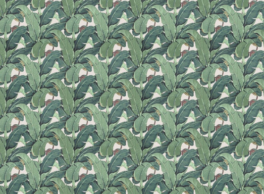 Feuilles de banane et papier peint de feuille de jardin tropical