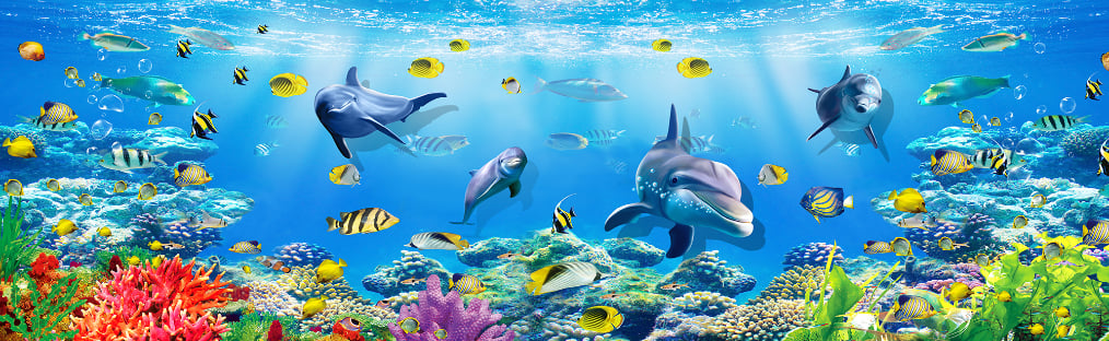 Murale del muro di dotophina del mare sottomarino murale in your room — zoomed