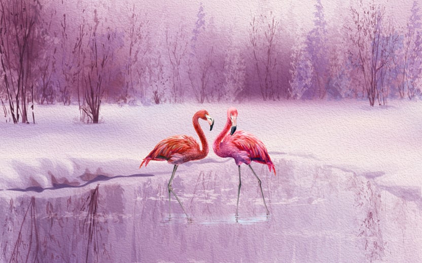 Pink Flamingo Wallpaper in your room — zoomed
