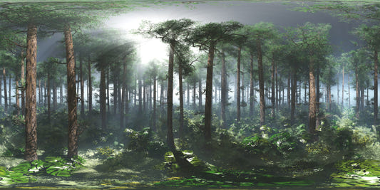 Green Tropical Foggy Forest Wallpaper Murals