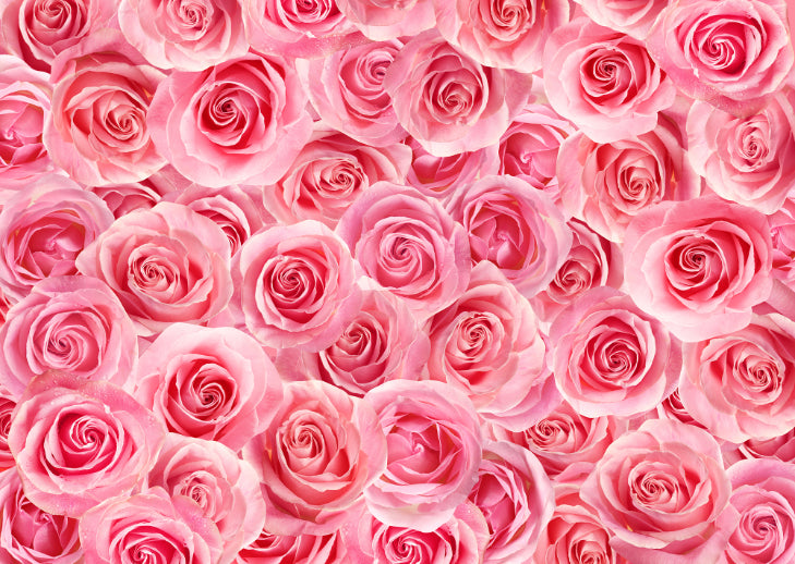 Floral peel and Stick Wallpaper in your room — zoomed