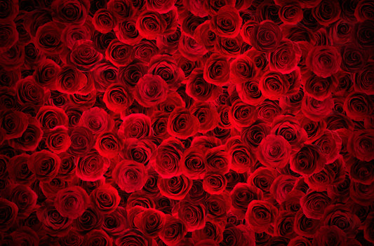 Bright Red Roses Backdrop Wallpaper Wall Murals