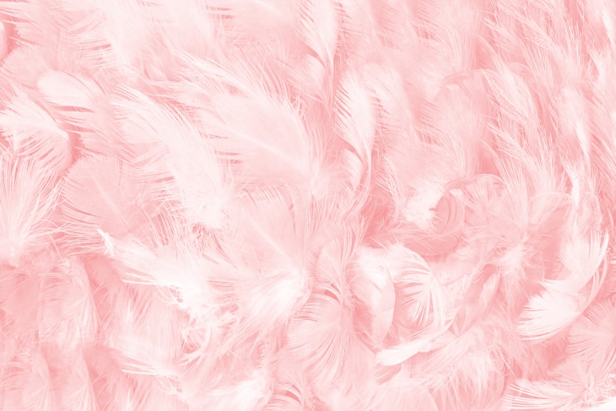 Weiche rosa Vintage -Farbtrends Feder Tapete