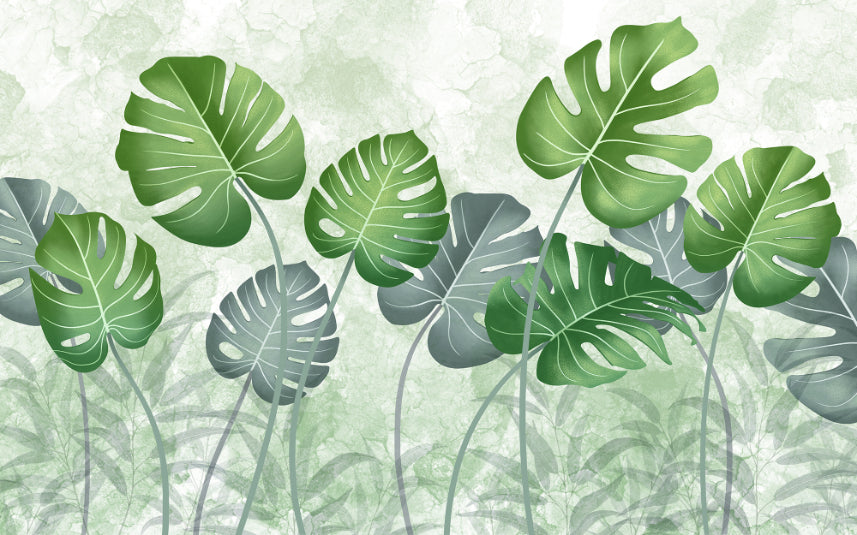 Best Tropical Wild Trees Wallpaper Wall Mural