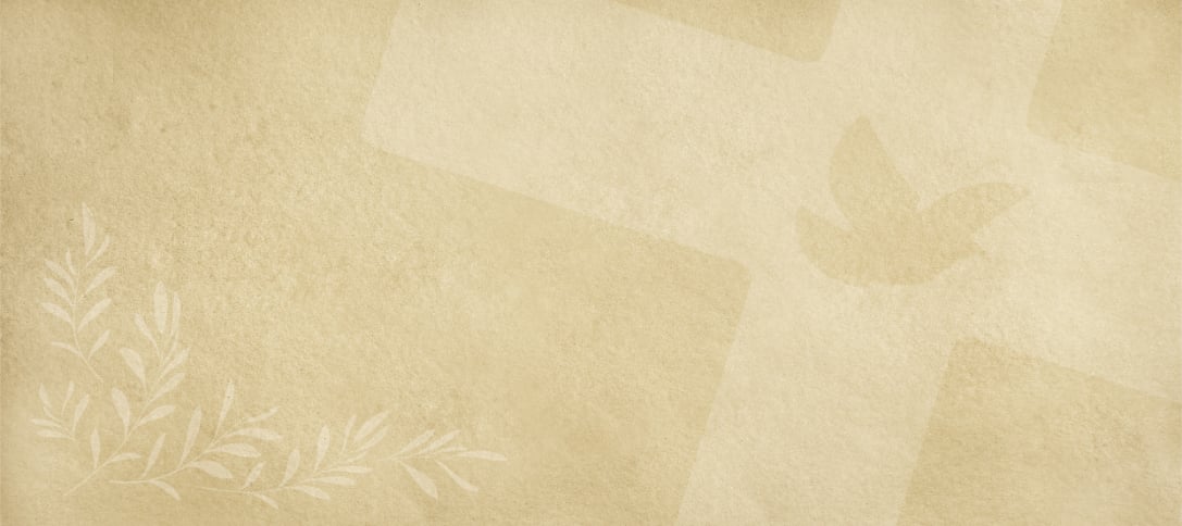 Religious Dove Olive Cross Wall Mural in your room — zoomed