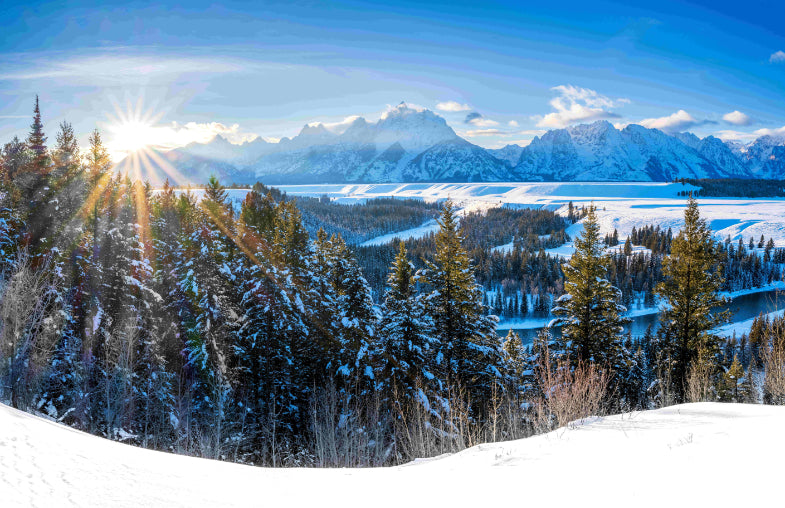 Wyoming Winter Wall Mural