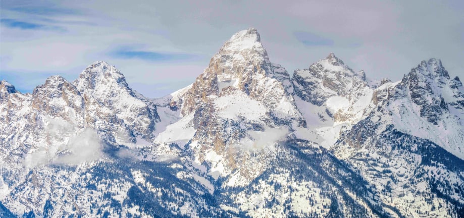 Grand Teton Wall Mural in your room