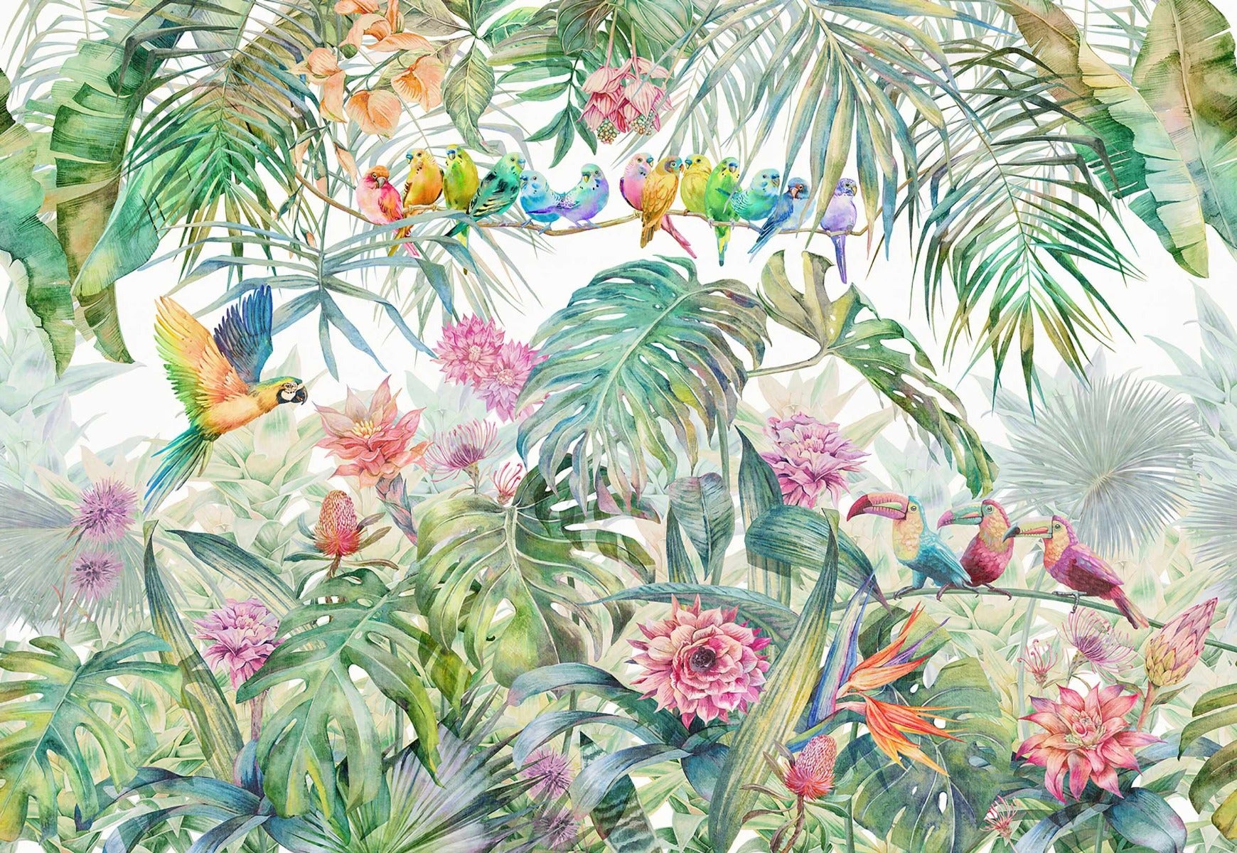 Fond de papier peint d'oiseaux de forêt tropicale